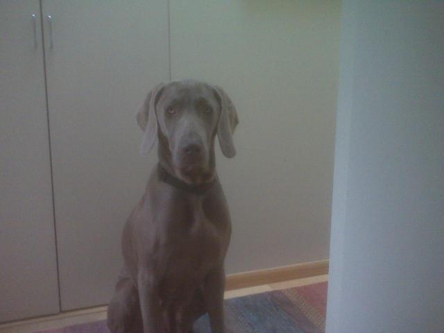 Sadie fr Auburn